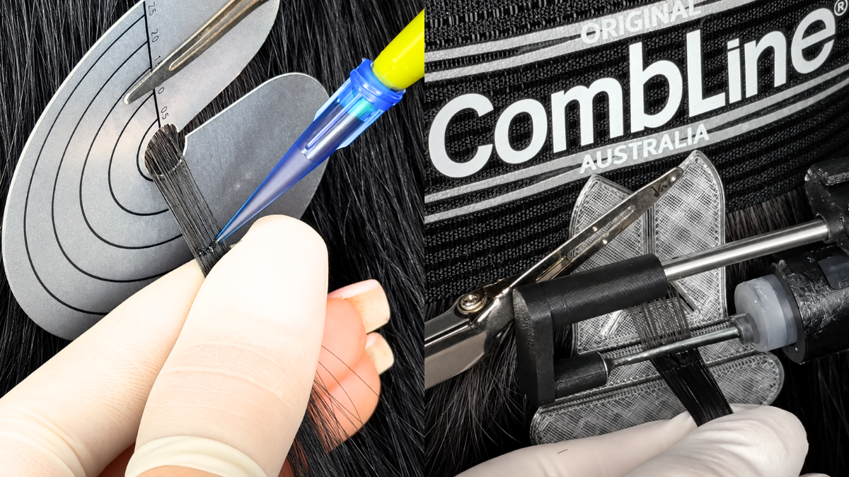 Ice and CombLine hair extensions for length, volume and thin top areas